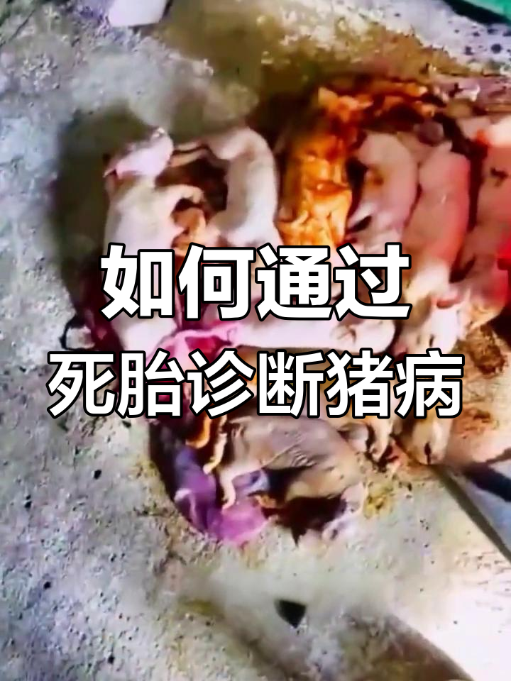 死胎是什么原因造成的