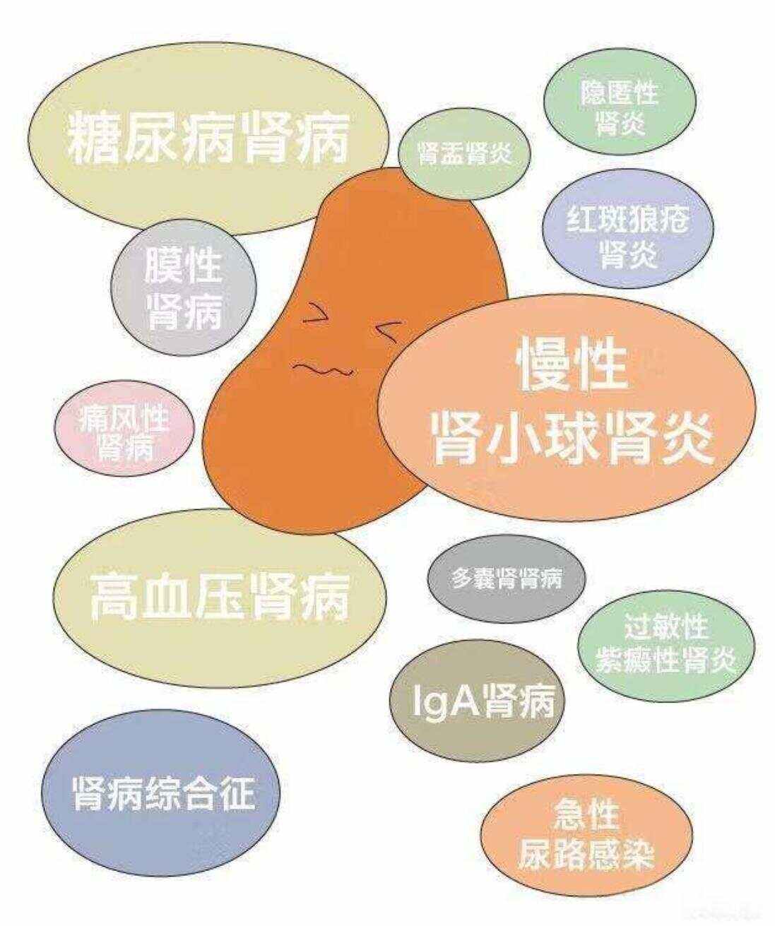 2025年10月26日 第13页