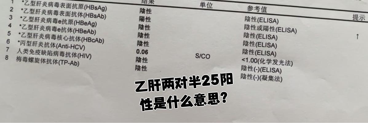 乙肝病毒表面抗体是阳性是什么意思