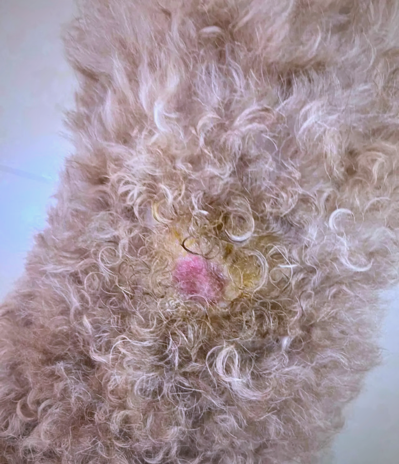 2025年10月26日 第11页