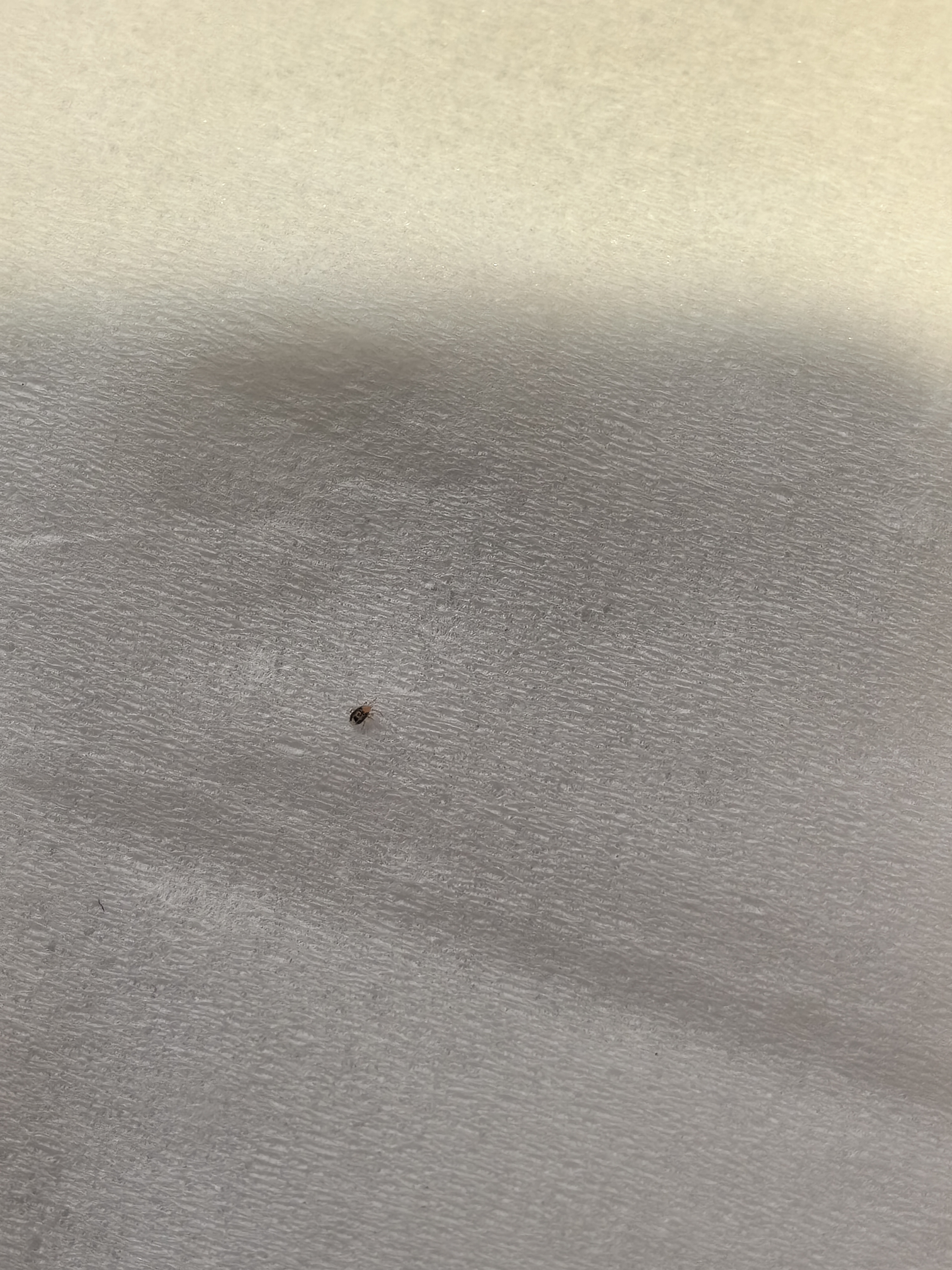 身上痒像虫子爬一样