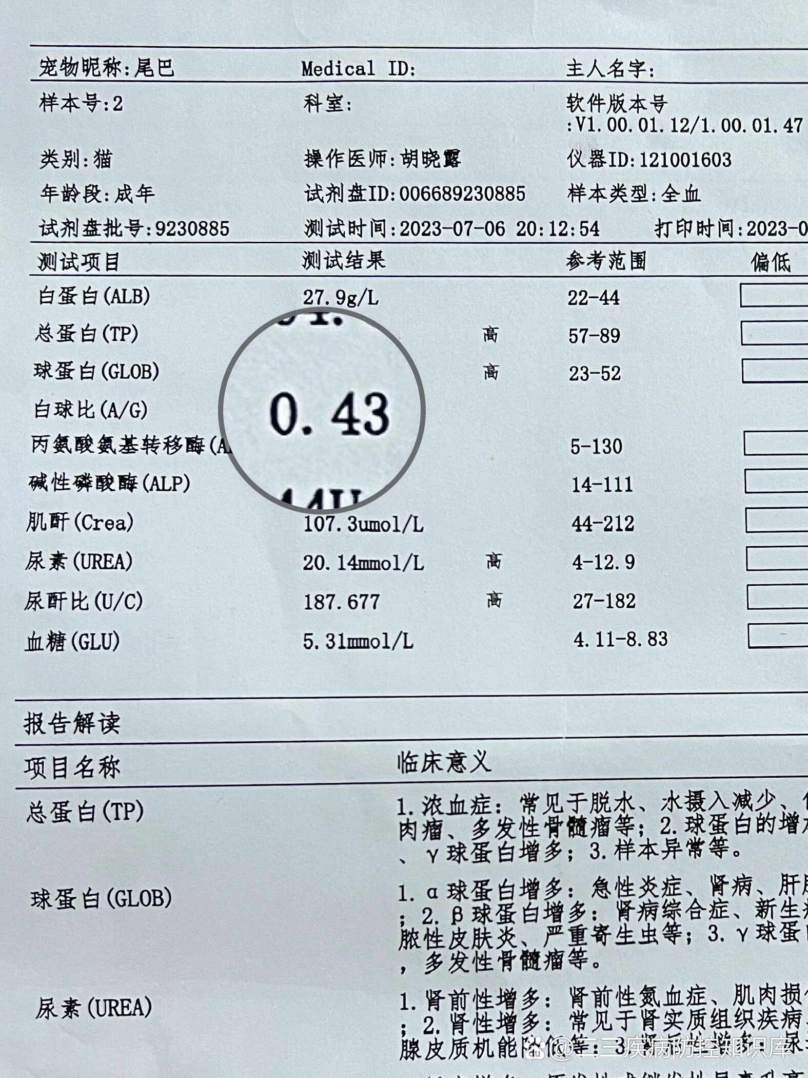 白球比偏低是什么意思
