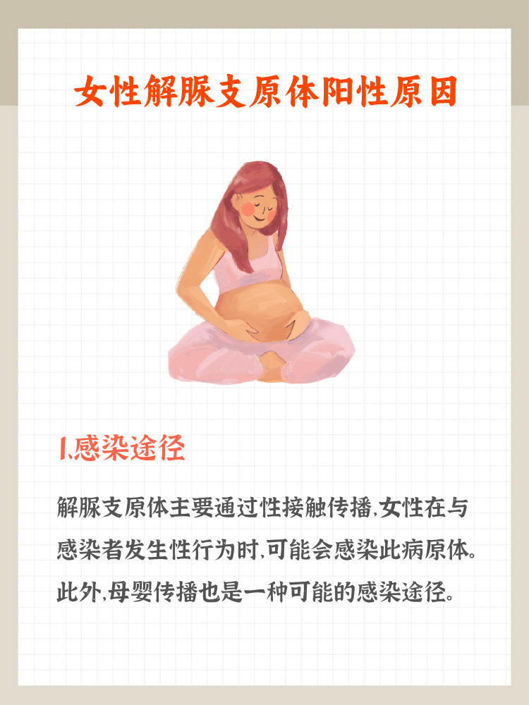 导致解脲支原体感染的原因是什么?
