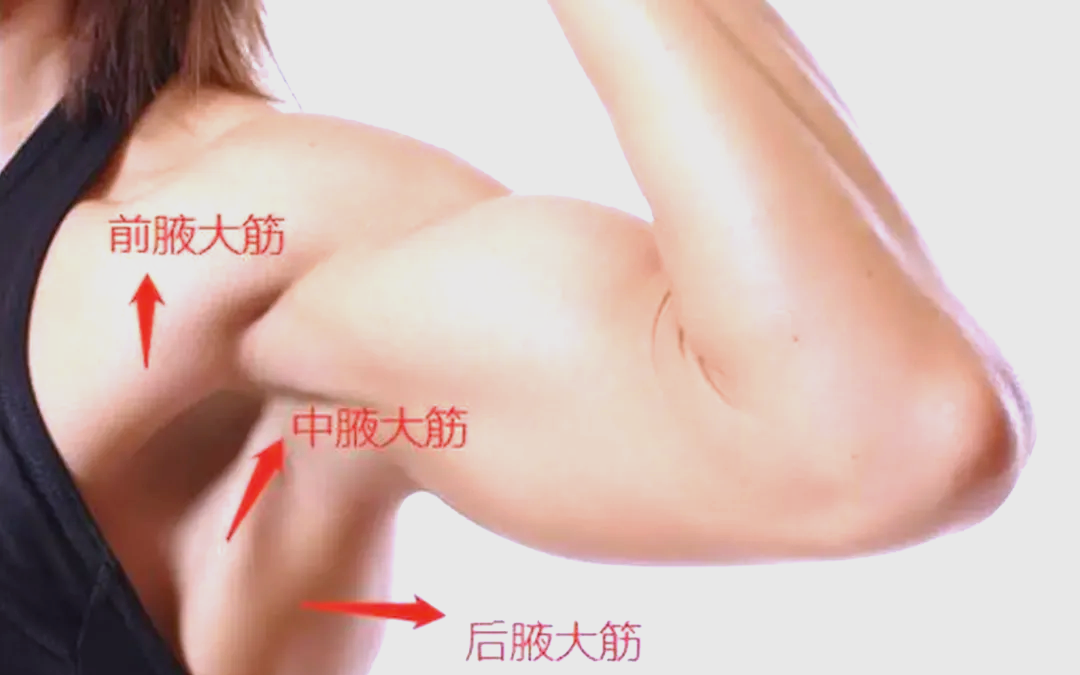 筋疙瘩是怎样回事?怎样形成的?年龄:46岁