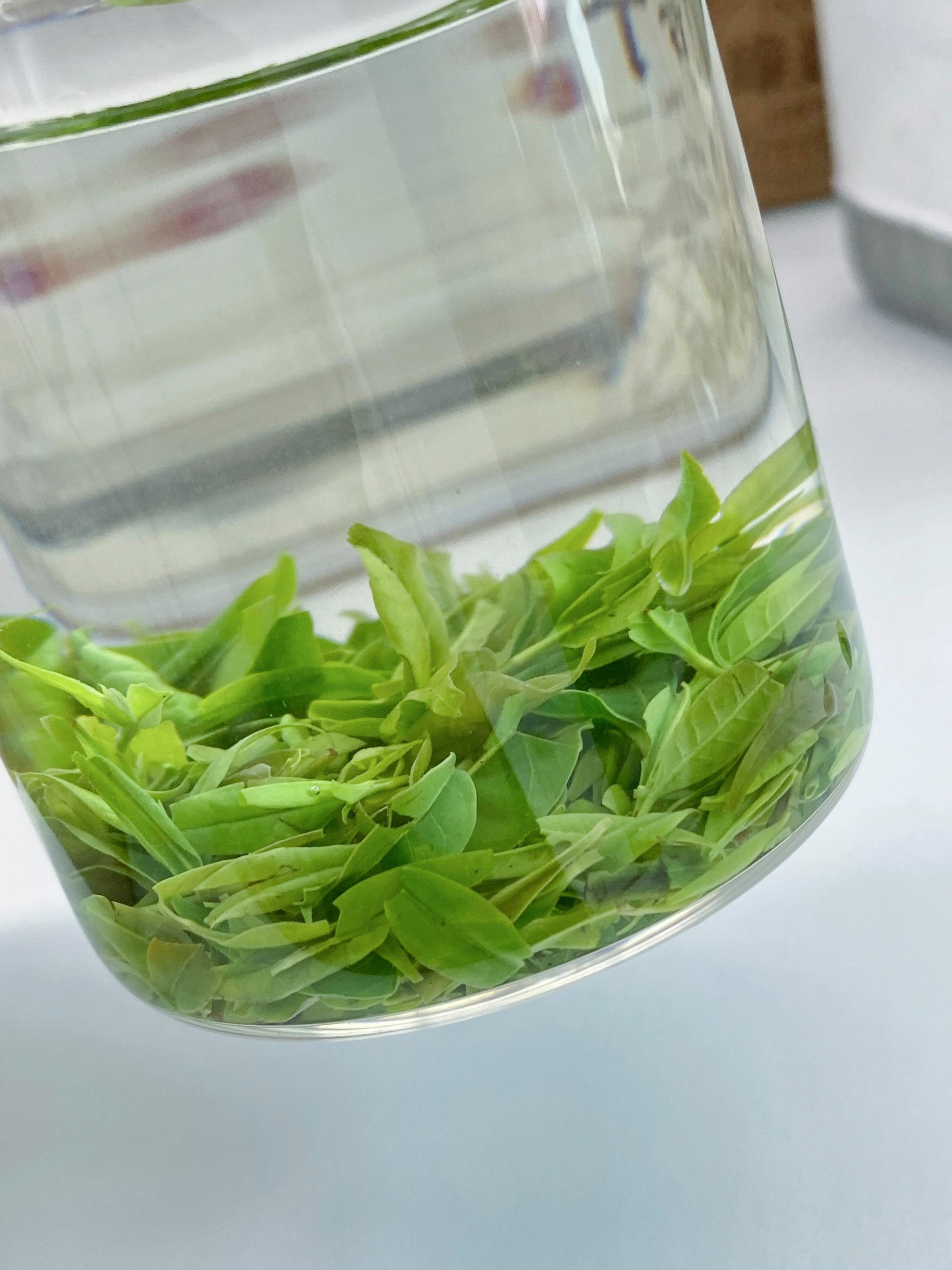 小叶苦丁茶的功效及禁忌