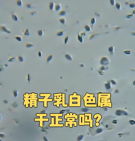 精子是什么颜色的