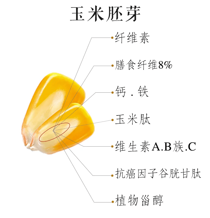 玉米的营养价值