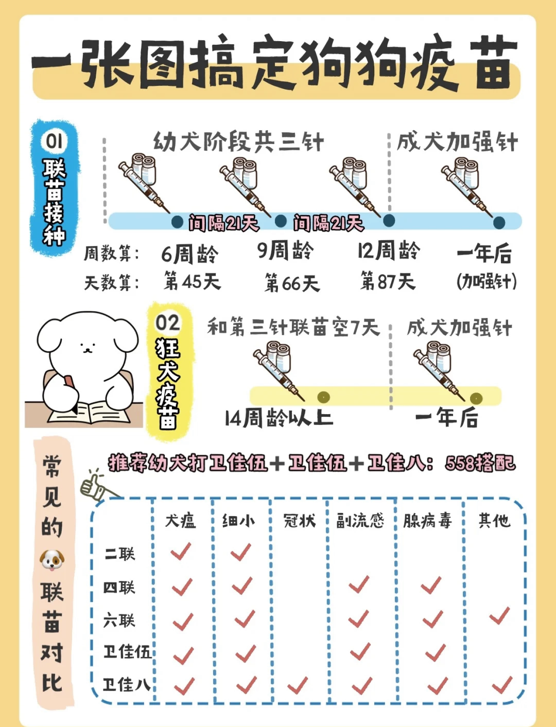 狂犬疫苗打哪里