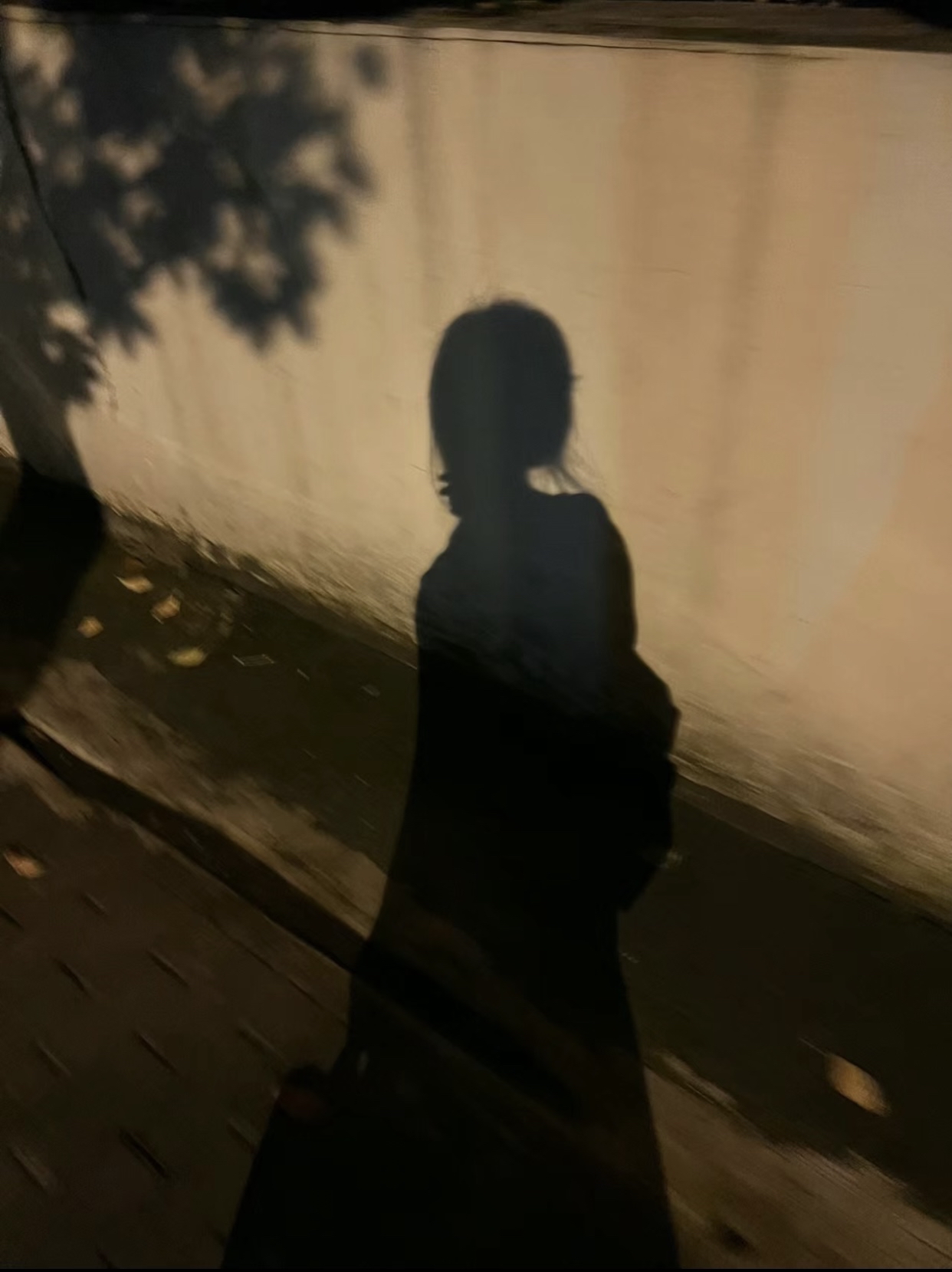 一个人晚上寂默怎么办