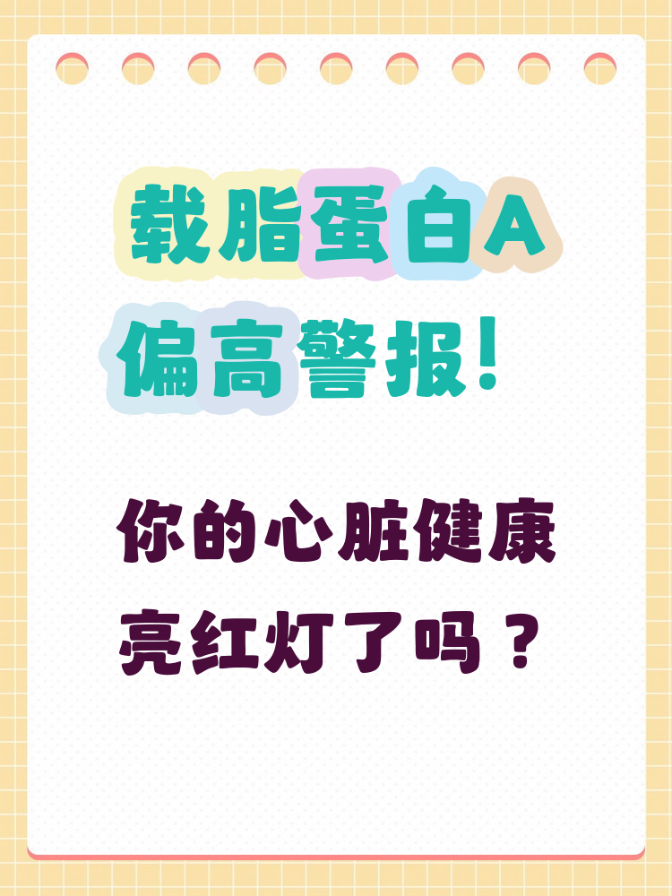 载脂蛋白偏高a说明什么
