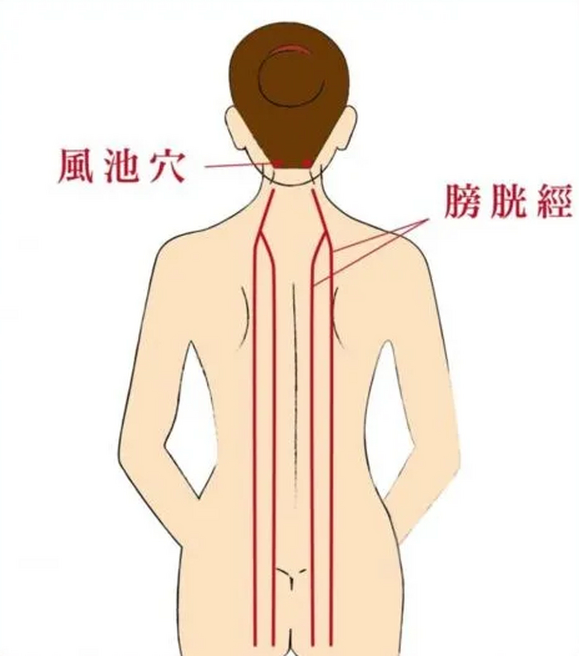 怎么样打通膀胱经