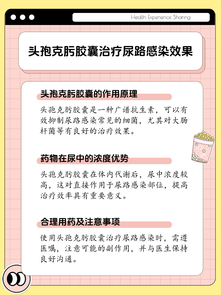 头孢的药效与治疗作用