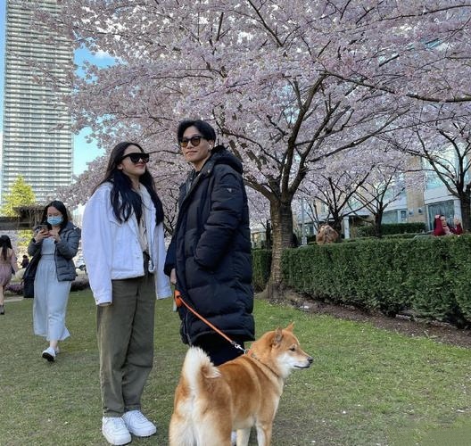 我家有两只大狼狗.两年前我交过一次.觉得很满足