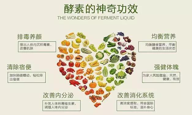 森米酵素减肥的危害有哪些