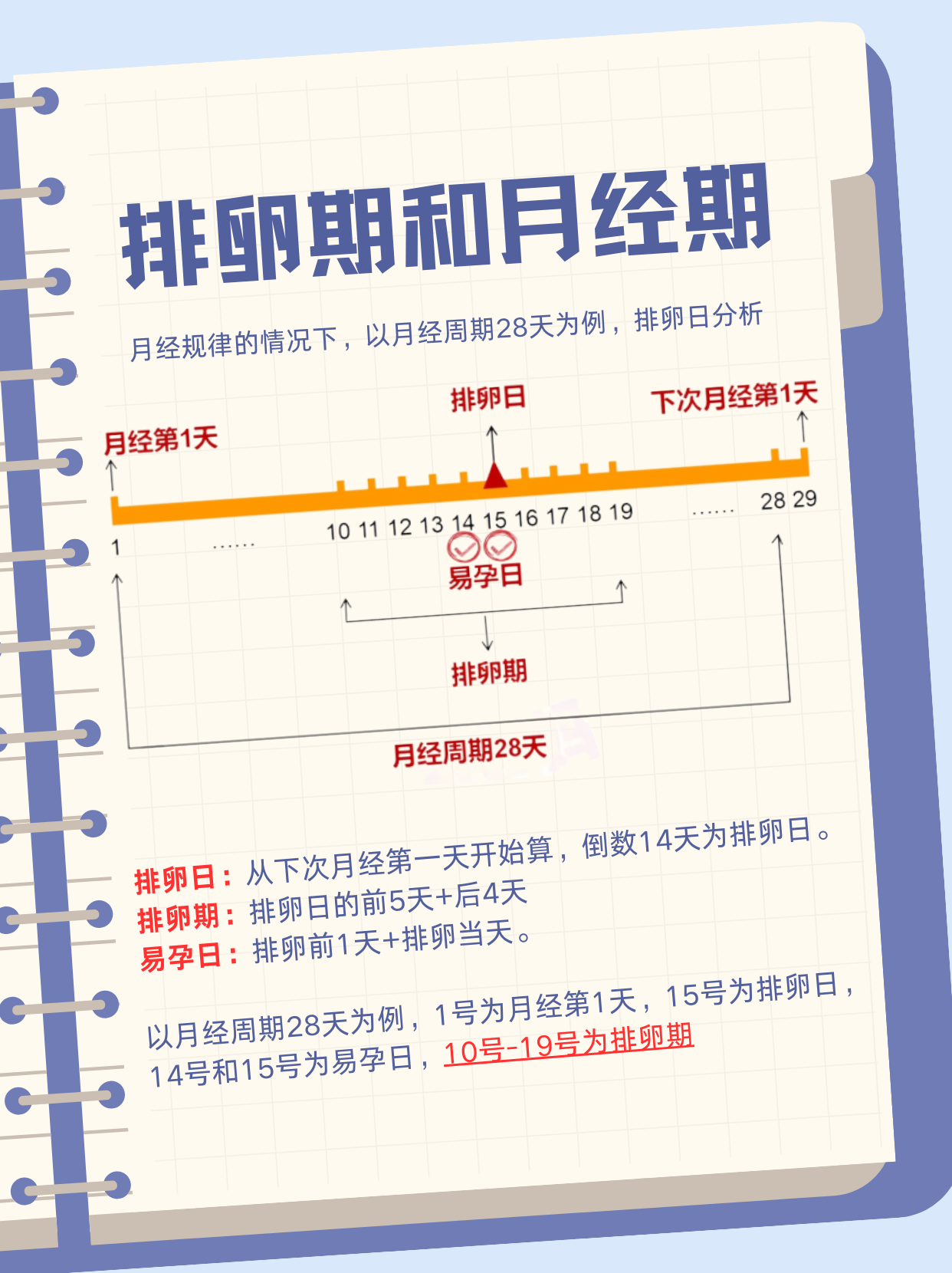 排卵期是什么时候