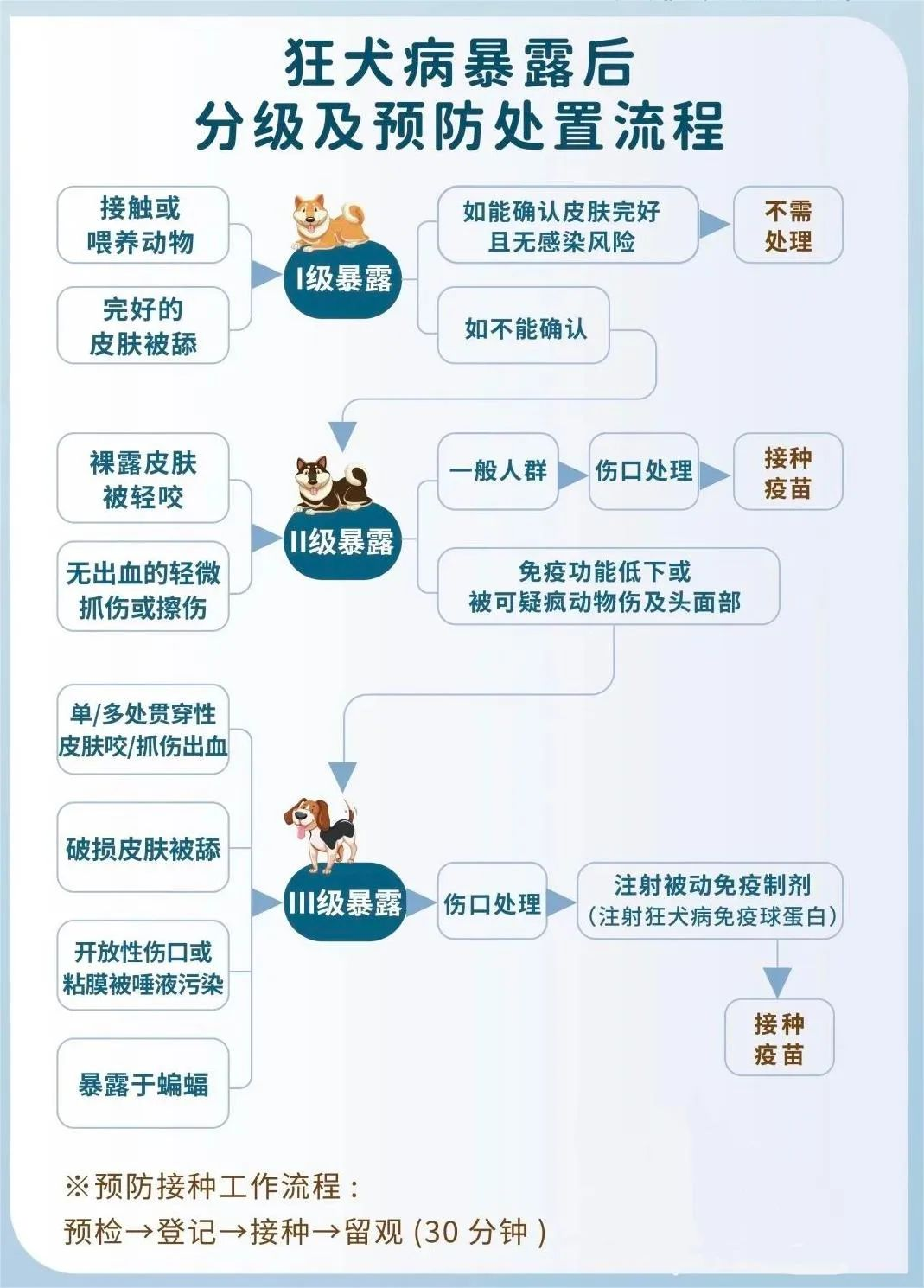 狂犬病的传播途径有几种