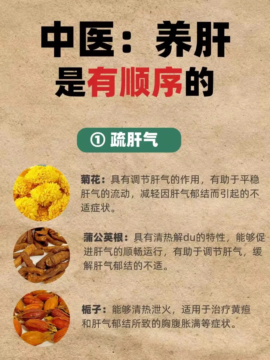 肝脏不好怎么调理