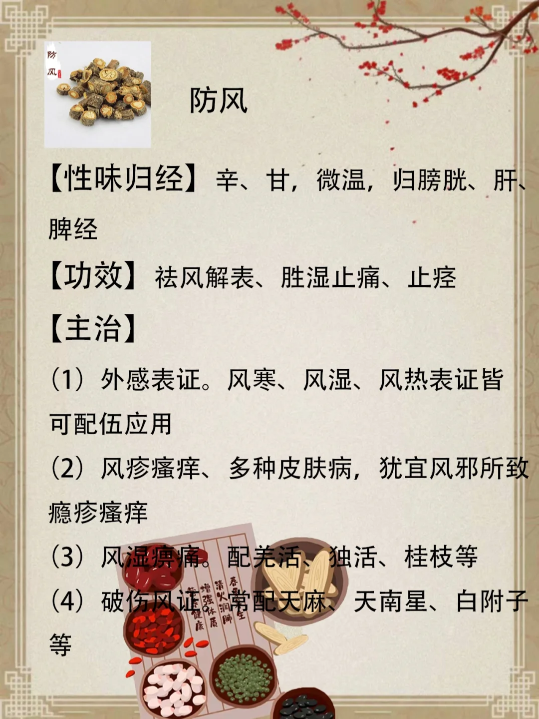 防风的功效与作用