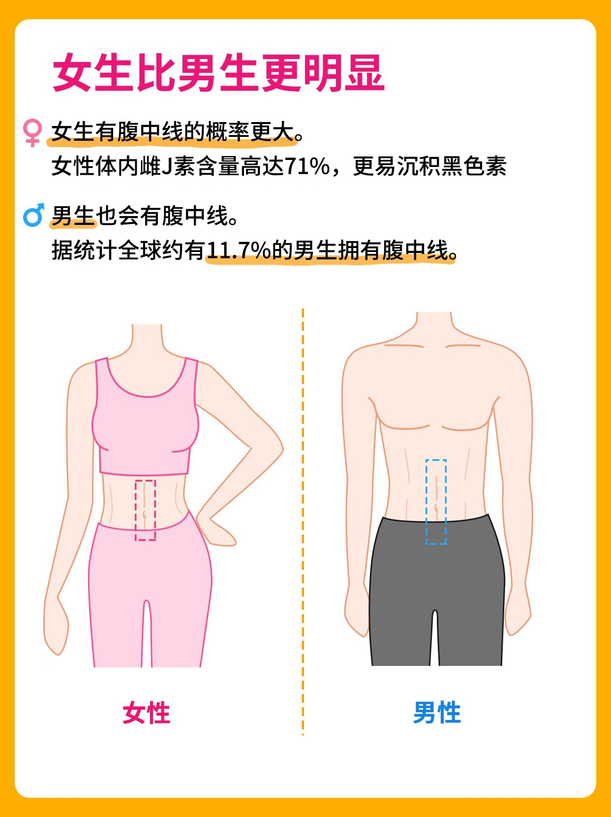 肚子上有一条线是怎么回事