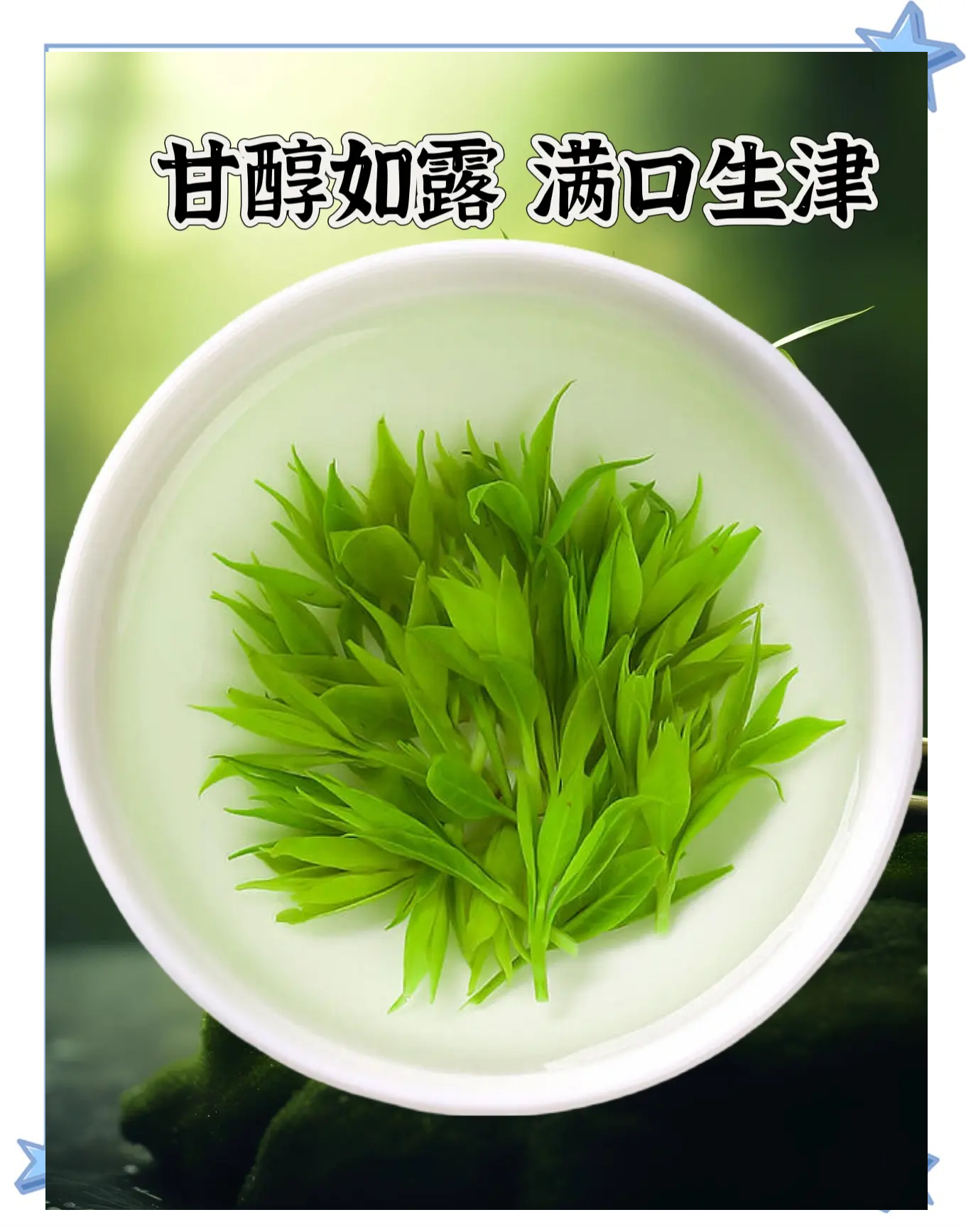 苦丁茶的功效与禁忌