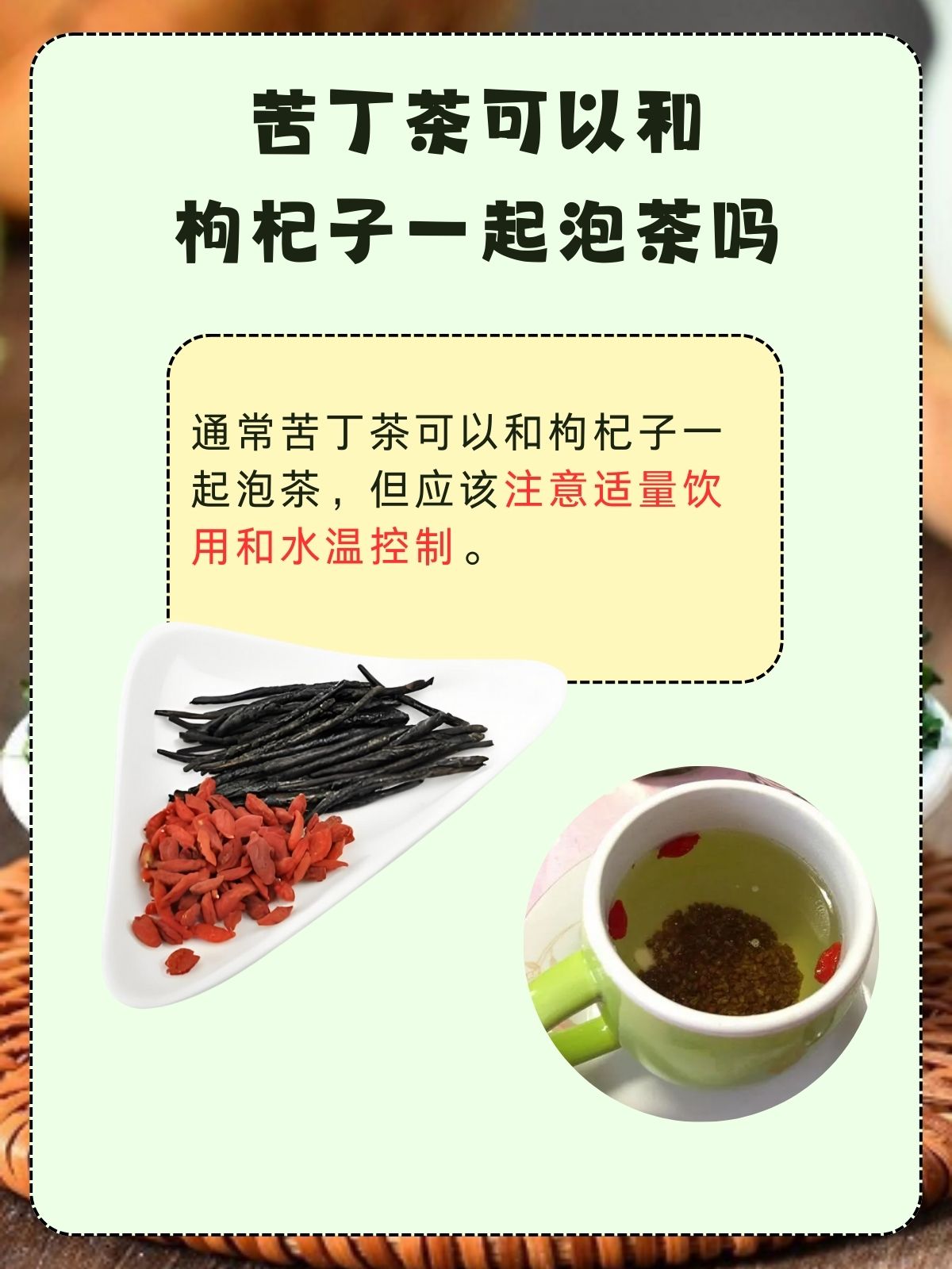 苦丁茶的功效与禁忌
