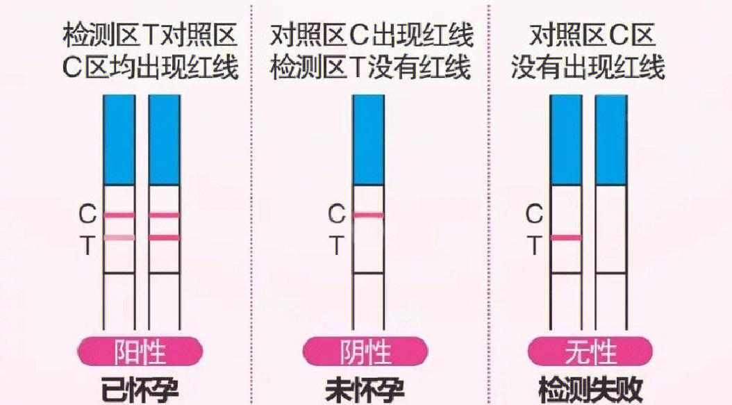 早早孕一深一浅是怀孕了吗?..