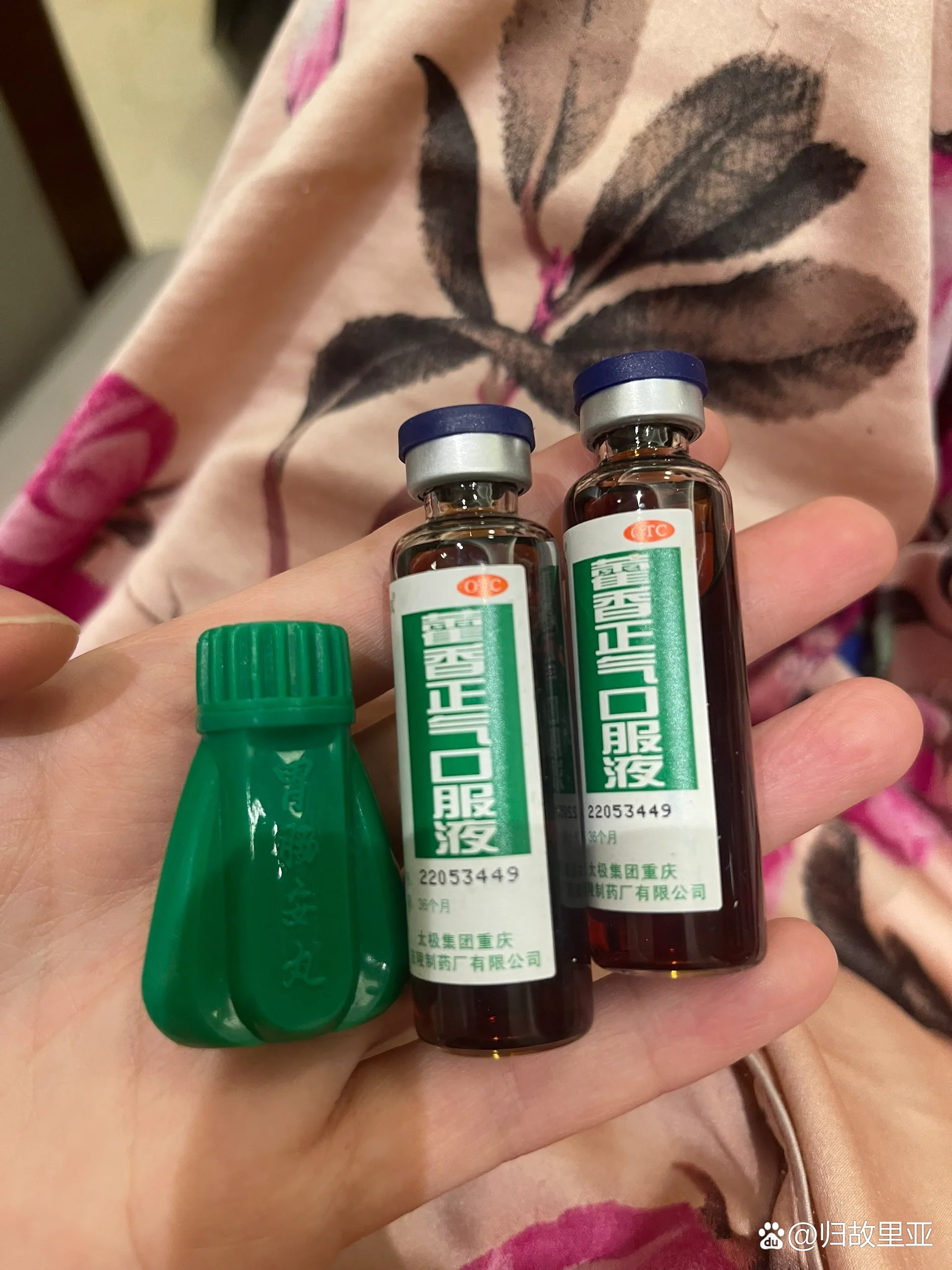 肠胃感冒吃什么食物好