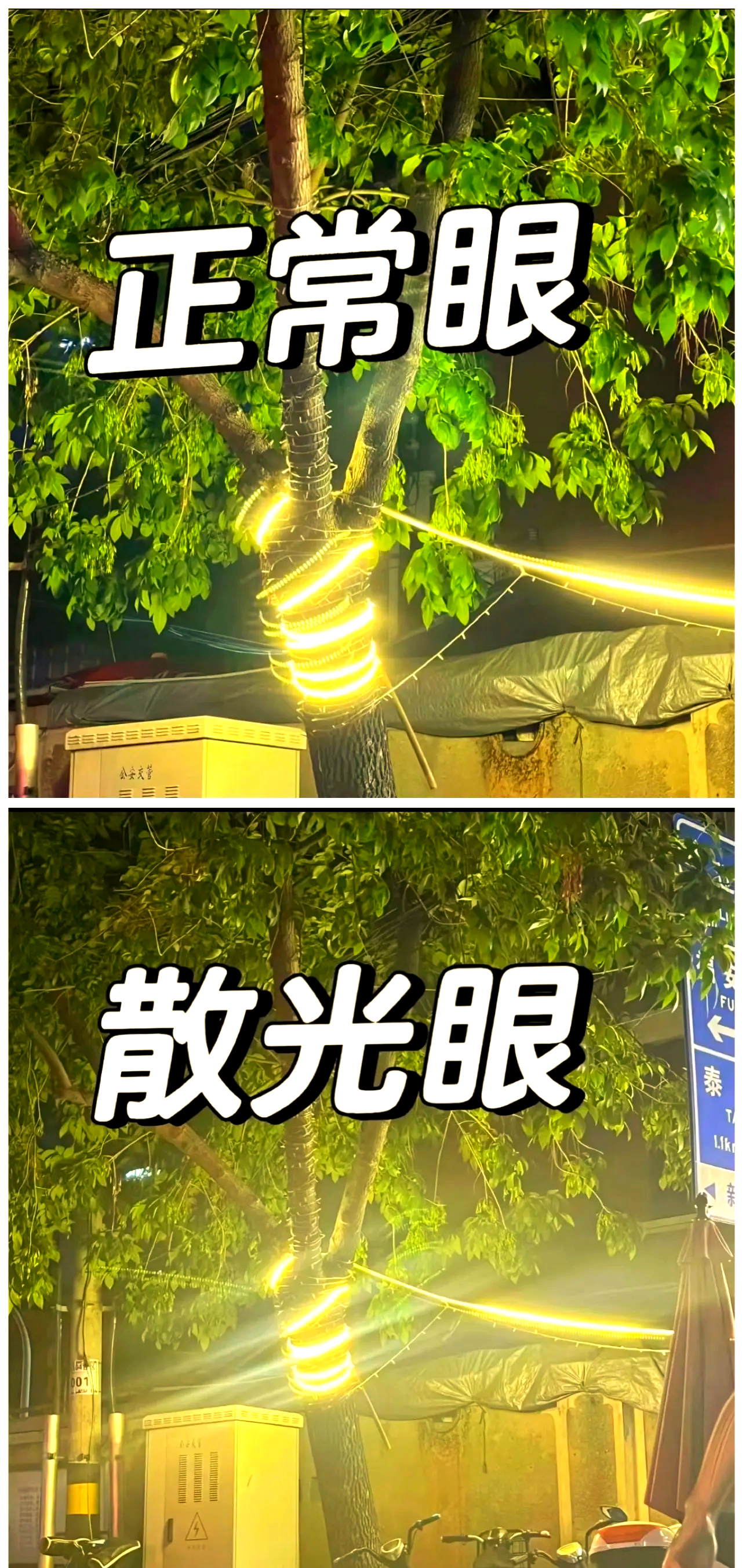 2025年10月31日 第9页