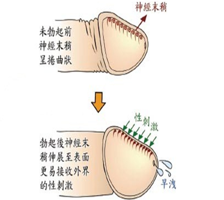 同时接受两个男人的射精会导致什么样的后果