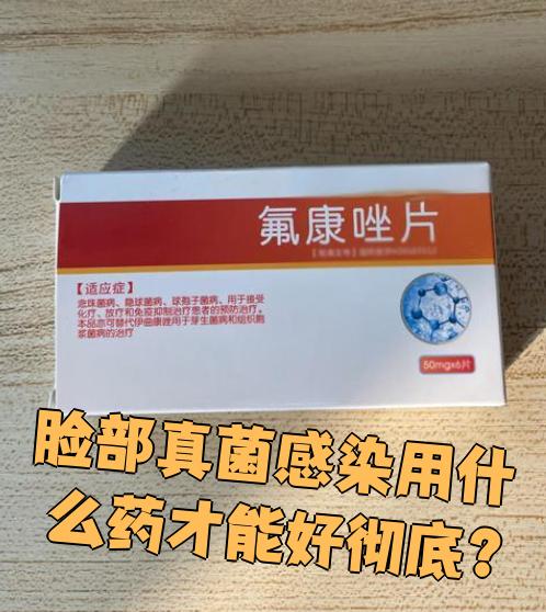 2025年11月2日 第7页