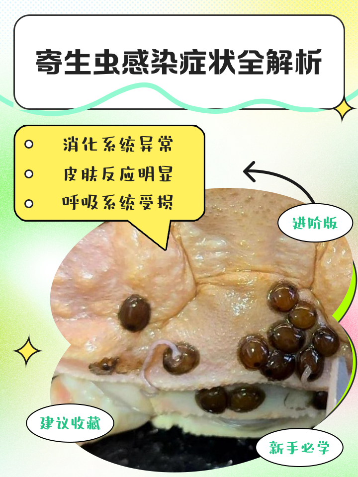 蛔虫病的症状有哪些?