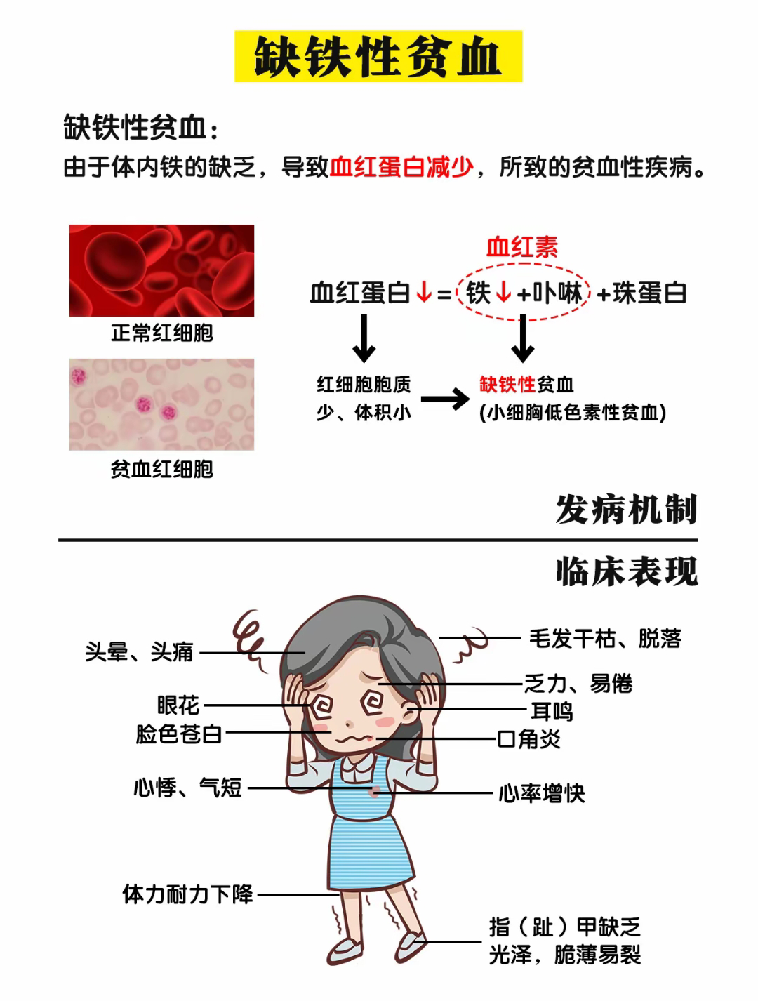 大型血小板比率偏高的原因