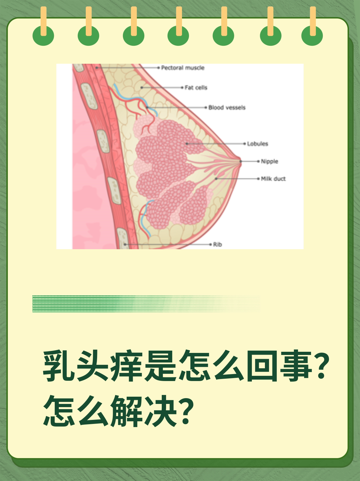 乳头发痒是怎么回事