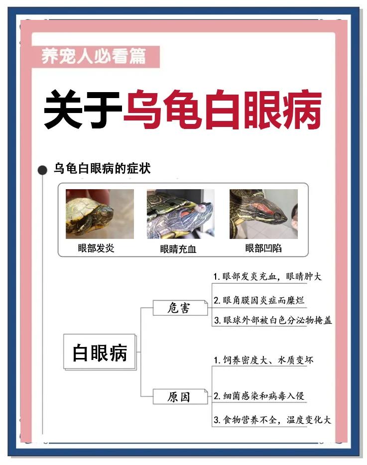 白眼病是什么病