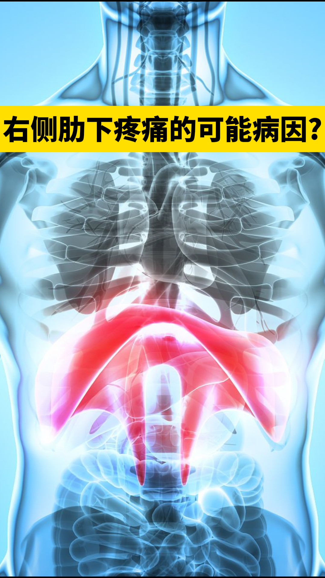 右侧,肋骨最下方疼