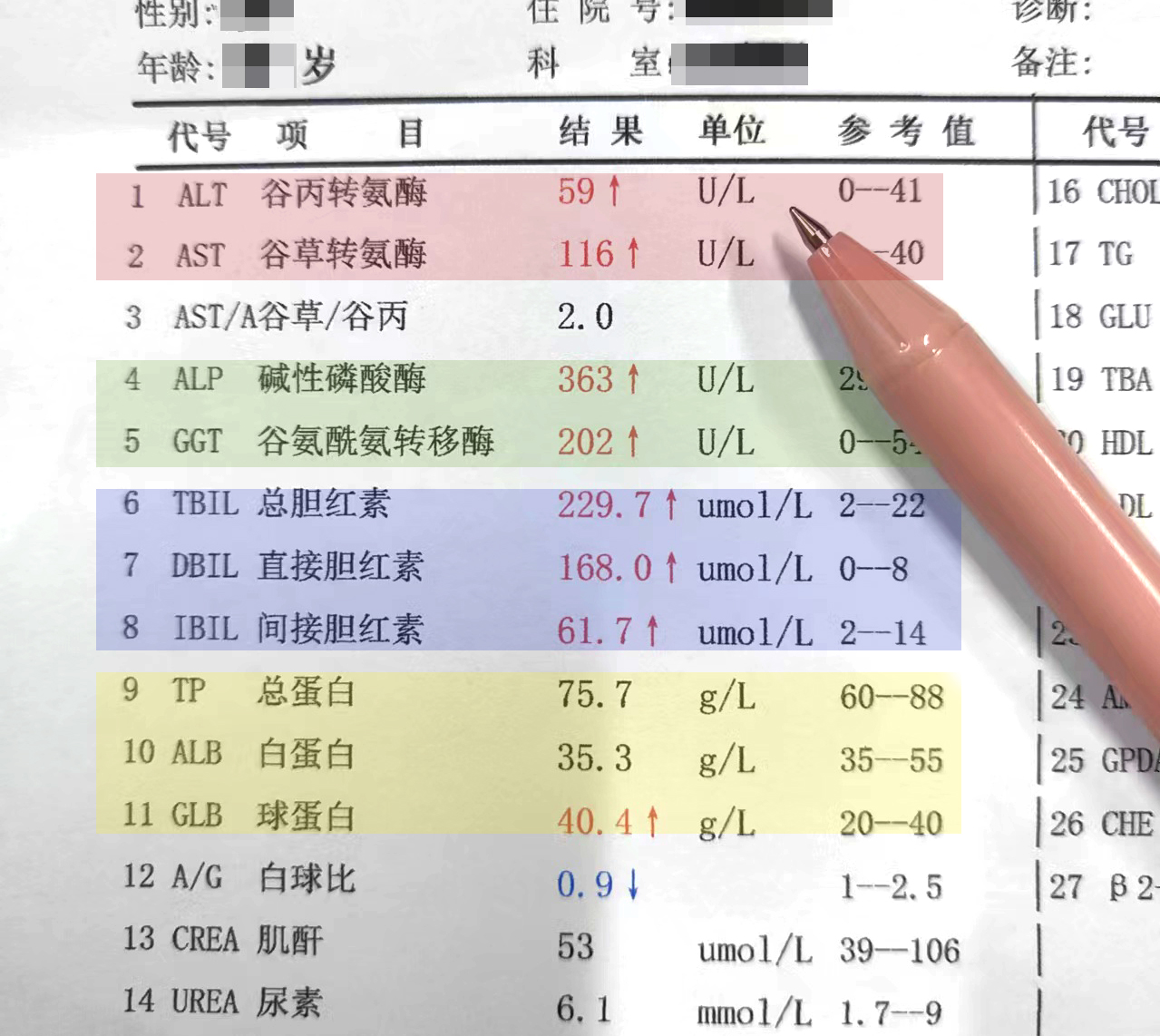 肝功能正常值是多少呢?