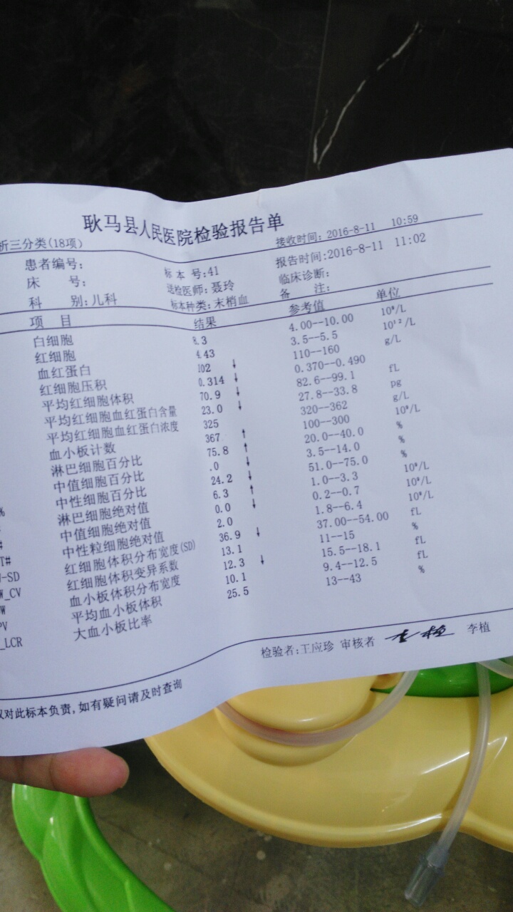 淋巴细胞数目偏高