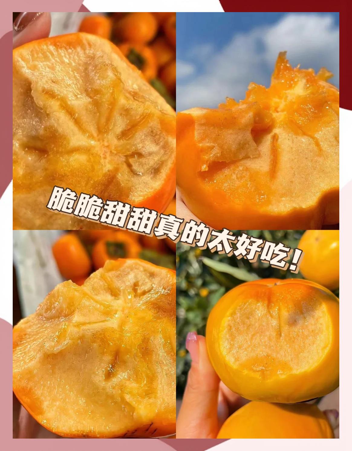 减肥可以吃柿子吗