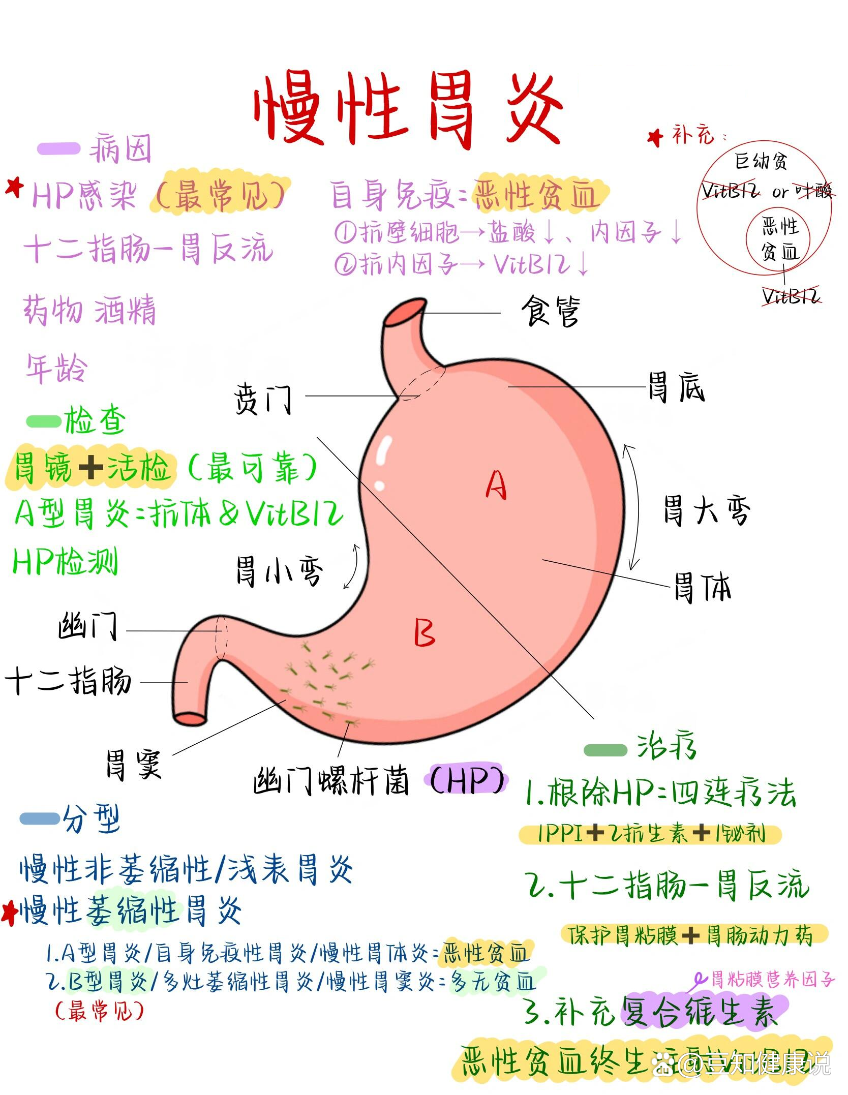 慢性胃窦炎怎么治疗