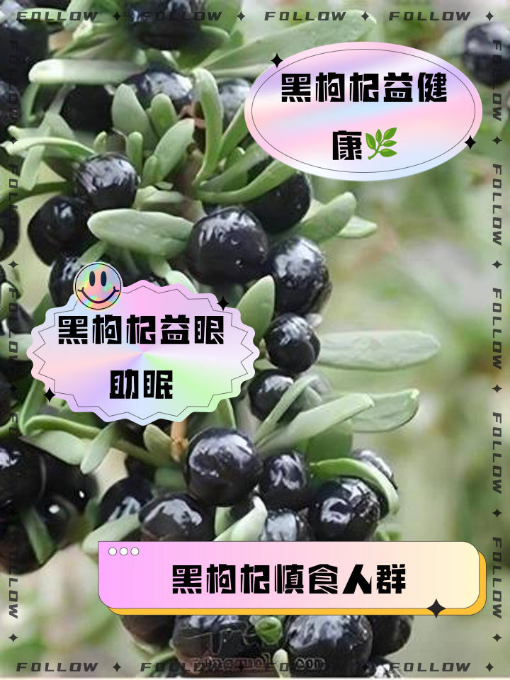 孕妇可以吃枸杞吗？