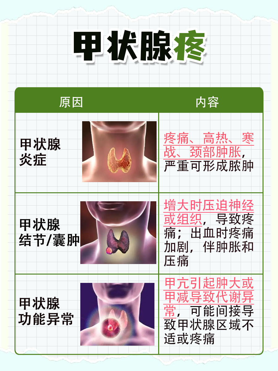 甲状腺疾病是怎么引起的