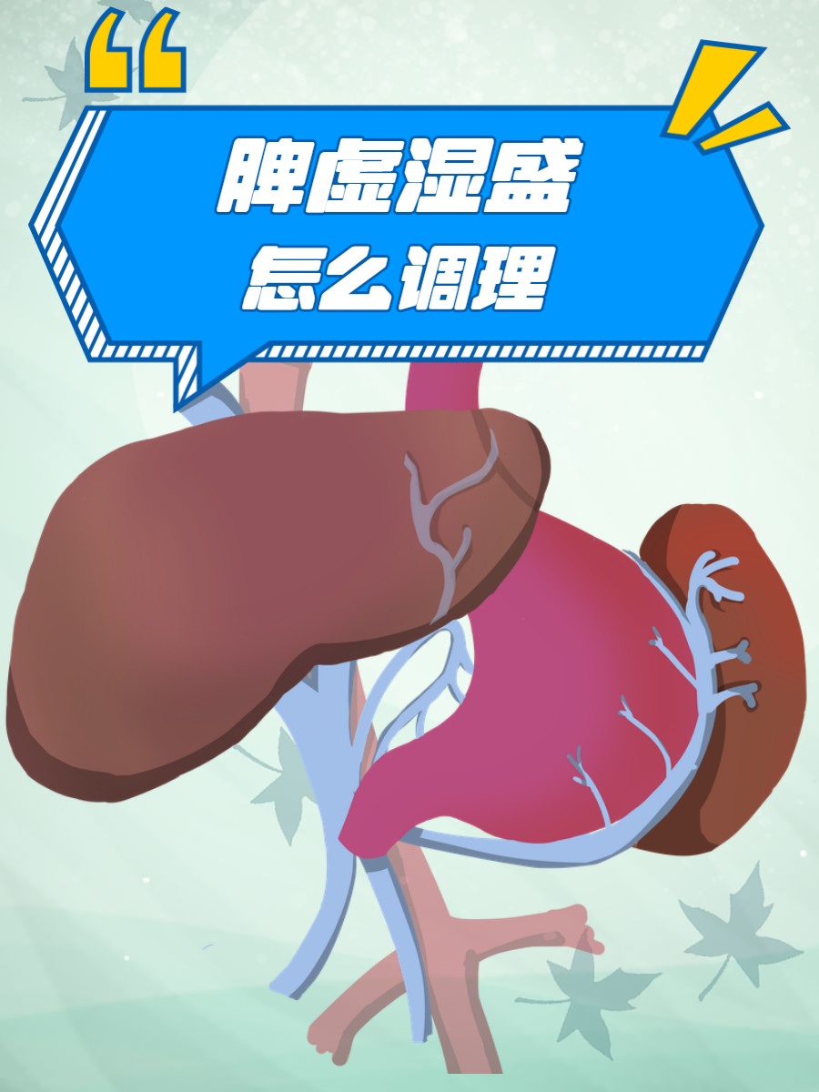 脾虚湿盛是怎么回事