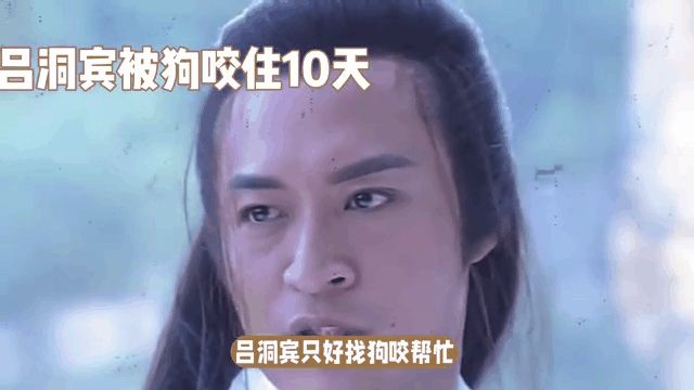 被狗咬了,狗十天内死了