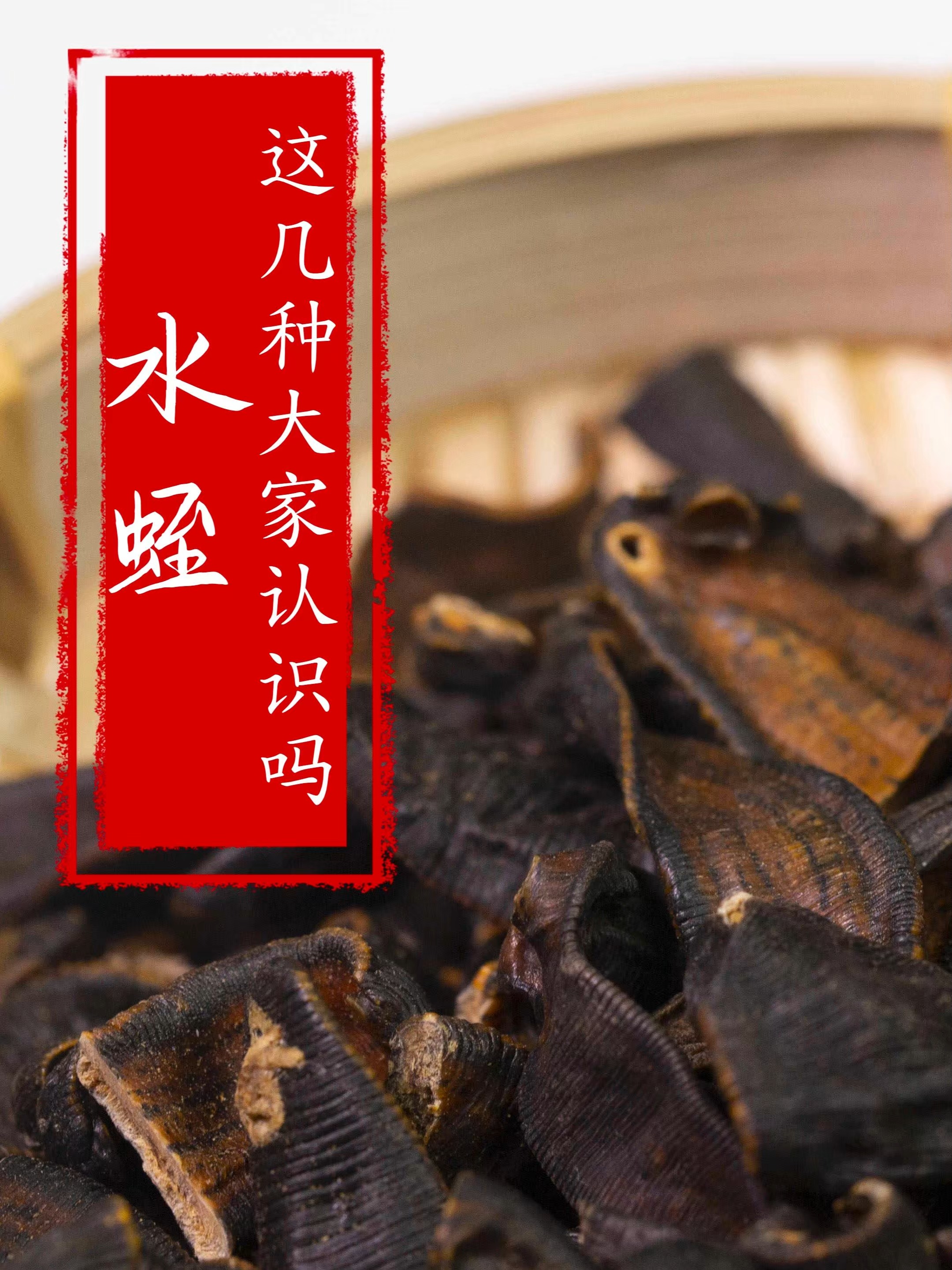 水蛭能食用吗?怎么食用啊?