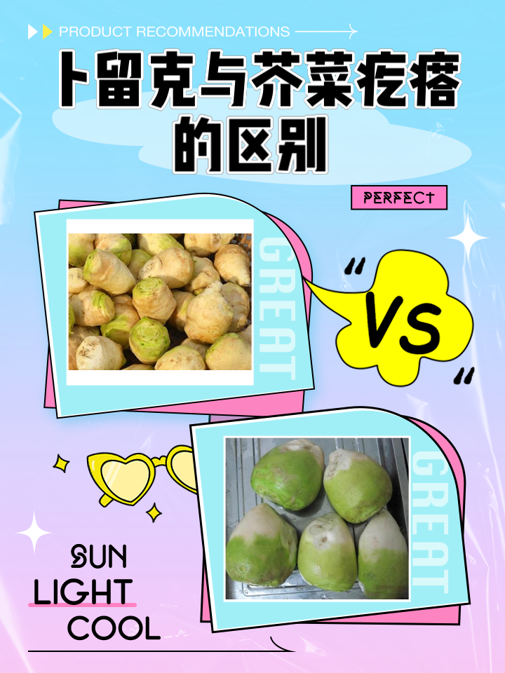 苤蓝的营养价值及功效