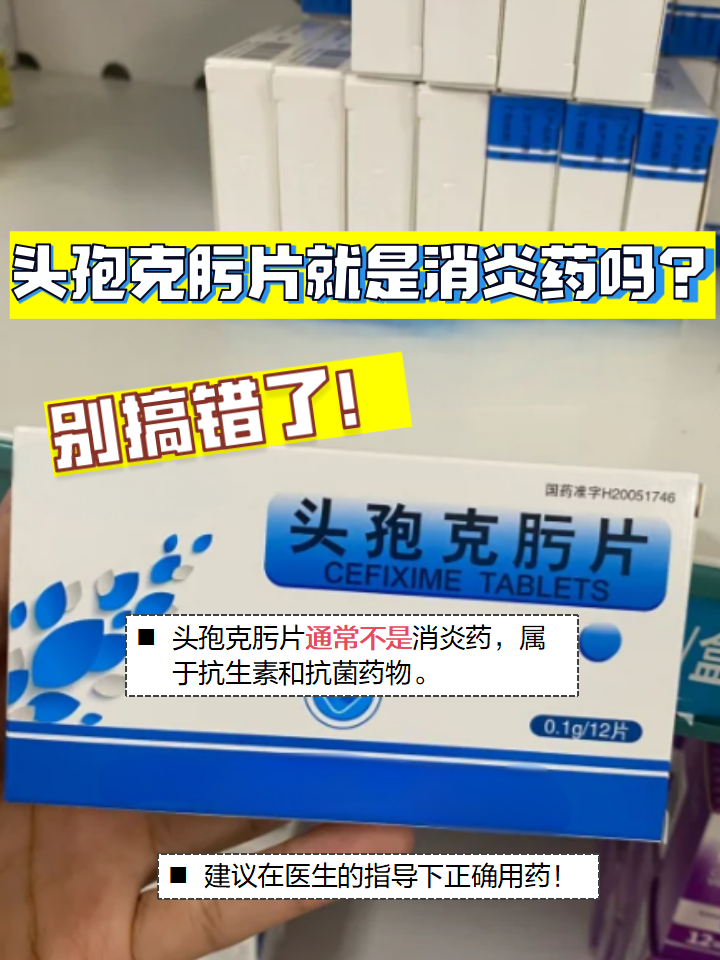 头孢到底是什么?