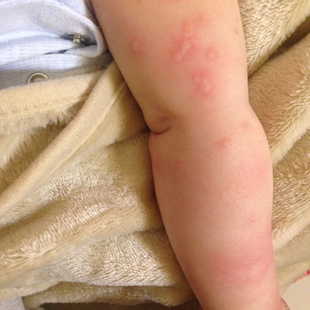 2025年11月15日 第3页