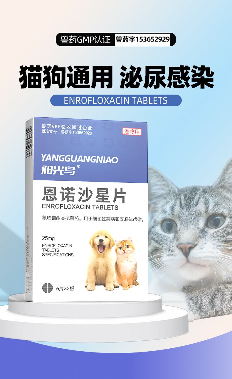 膀胱炎吃什么消炎药最好