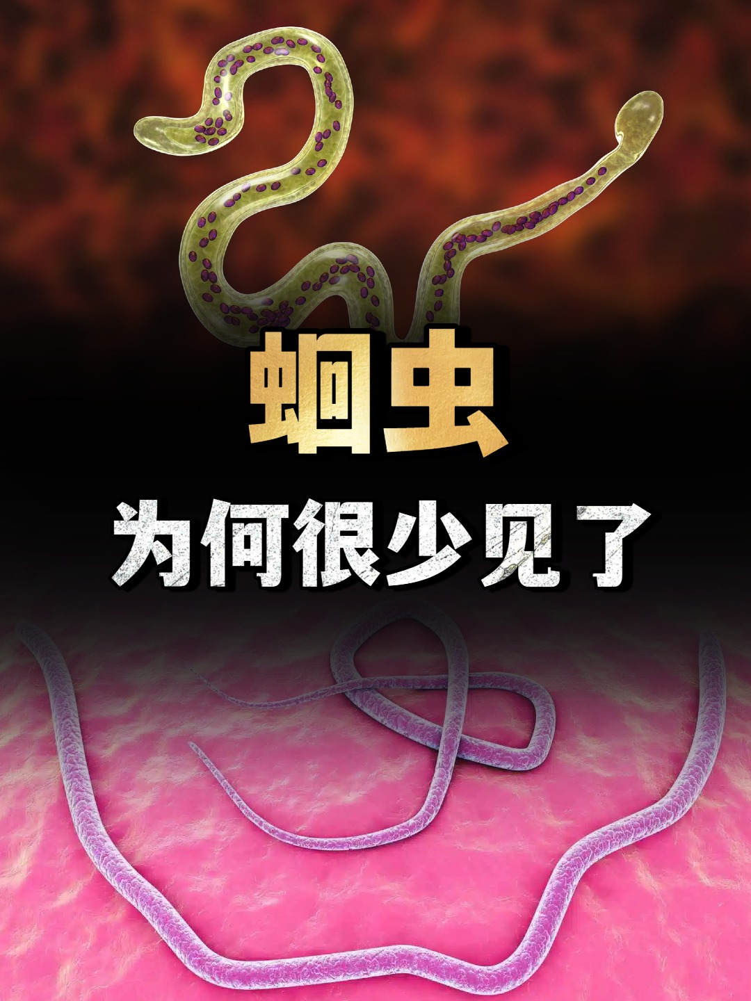 怎么判断肚子里有没有虫子?