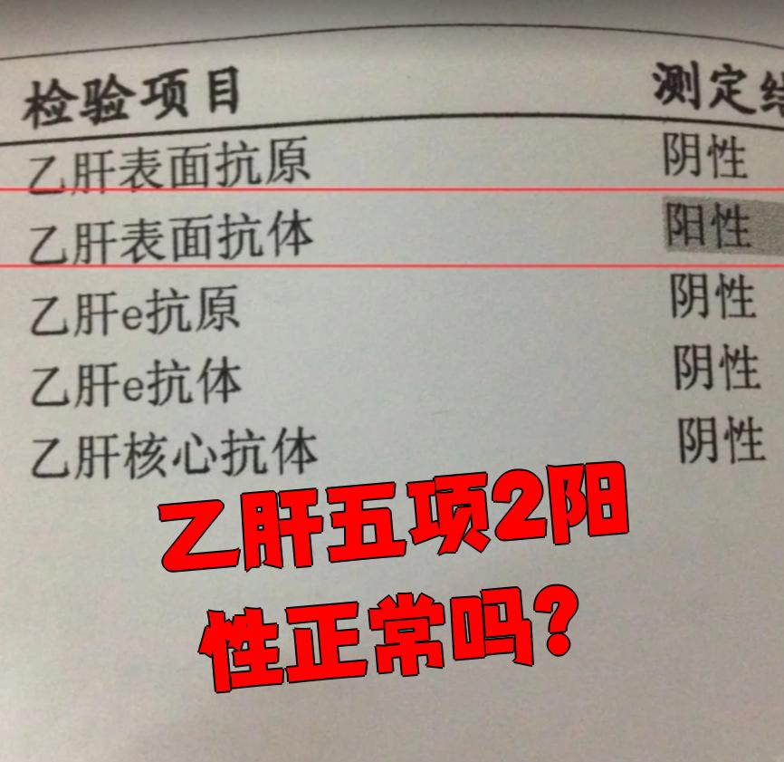 乙肝两对半全阴是什么意思